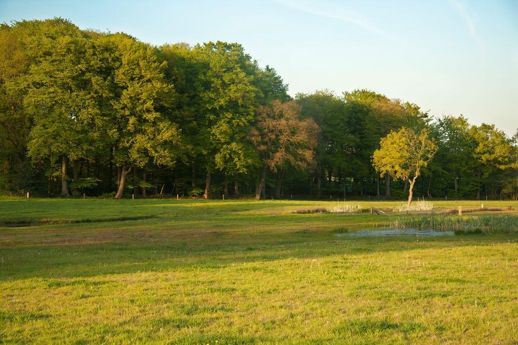 Hoeve Springendal Ootmarsum Exterior photo